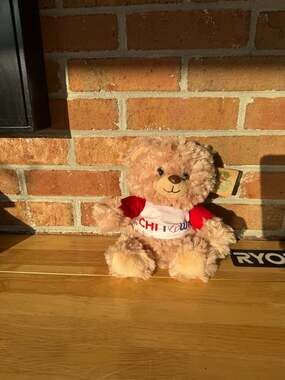 The Petting Zoo Chi-Town Teddy Bear with Red and White T-Shirt